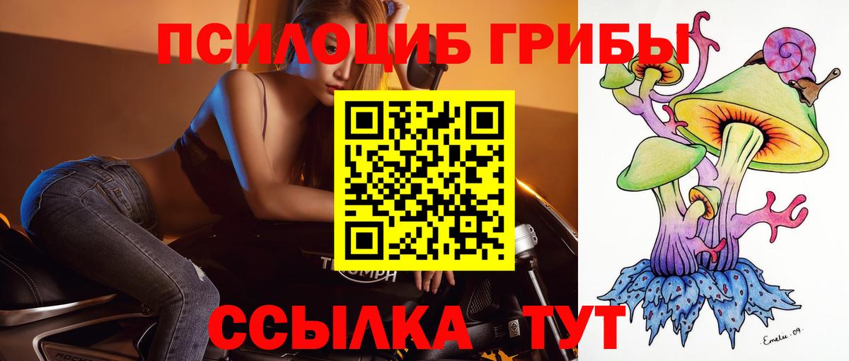 Галлюциногенные грибы GOLDEN TEACHER  цены   Псилоцибиновые грибы MAGIC MUSHROOMS  Тосно  Вход с VPN 
