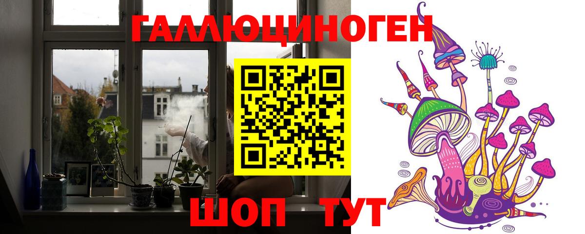 Галлюциногенные грибы Psilocybine cubensis Тосно