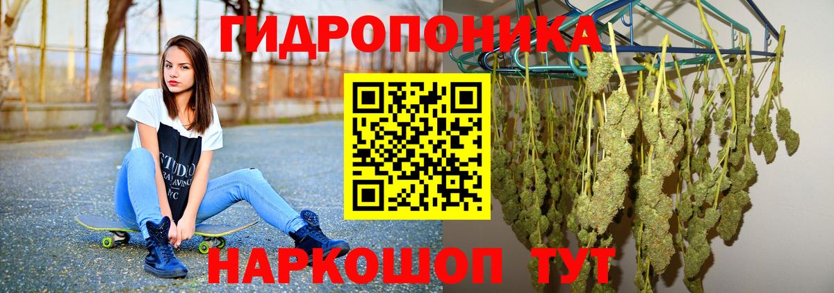 МАРИХУАНА Bruce Banner  Марихуана Bruce Banner  Вход с VPN  Марихуана THC 21%  Тосно 